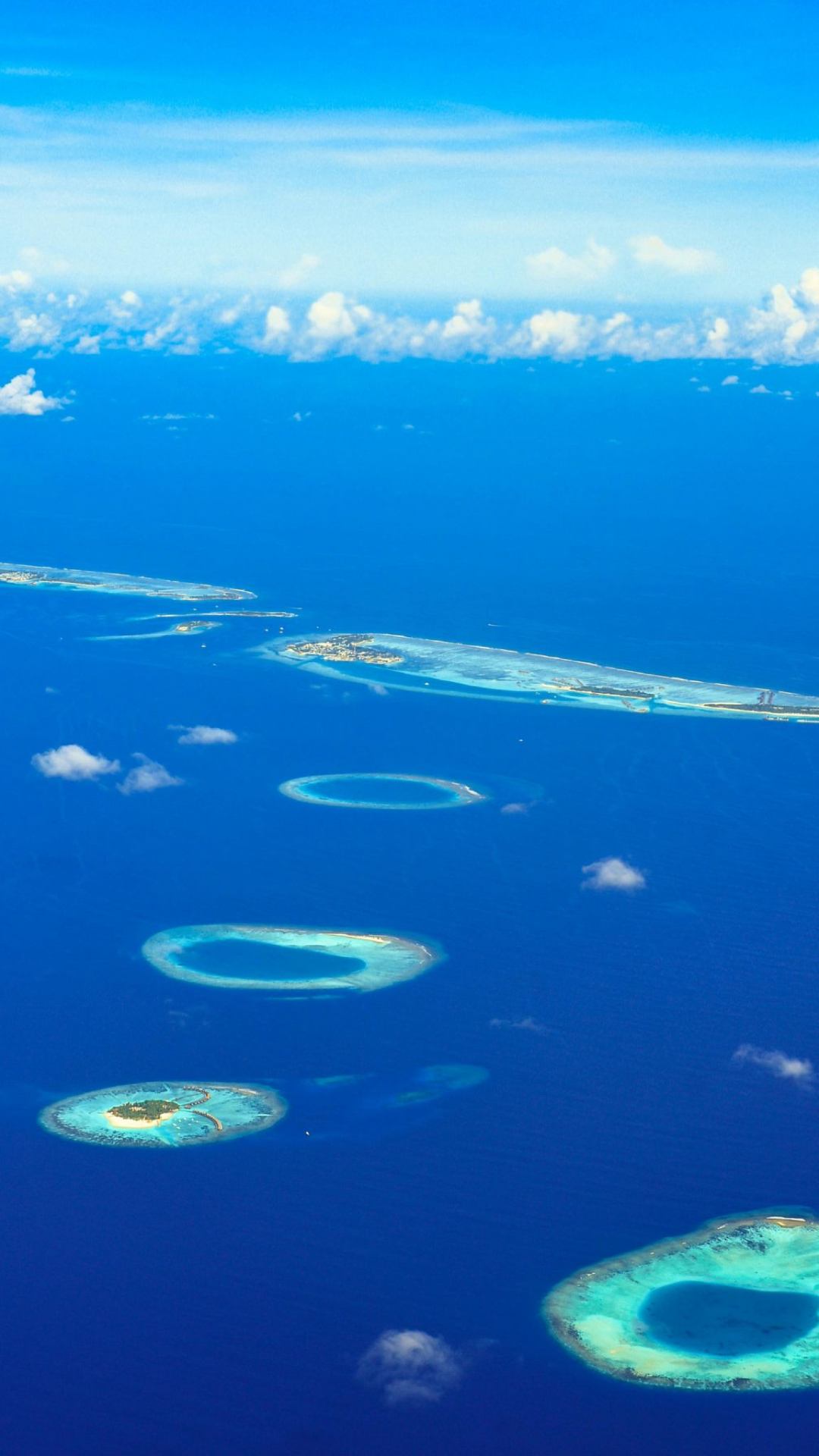 ISLAND ANATOMY